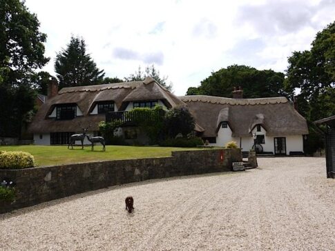 New Forest Thatchers