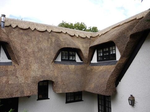 New Forest Thatchers