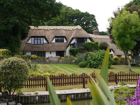 New Forest Thatchers