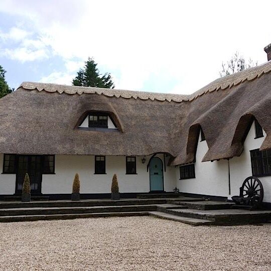 New Forest Thatchers